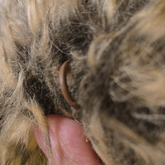 Trina Turk Luxurious Faux Fur Vest in Brown - Picture 15 of 15